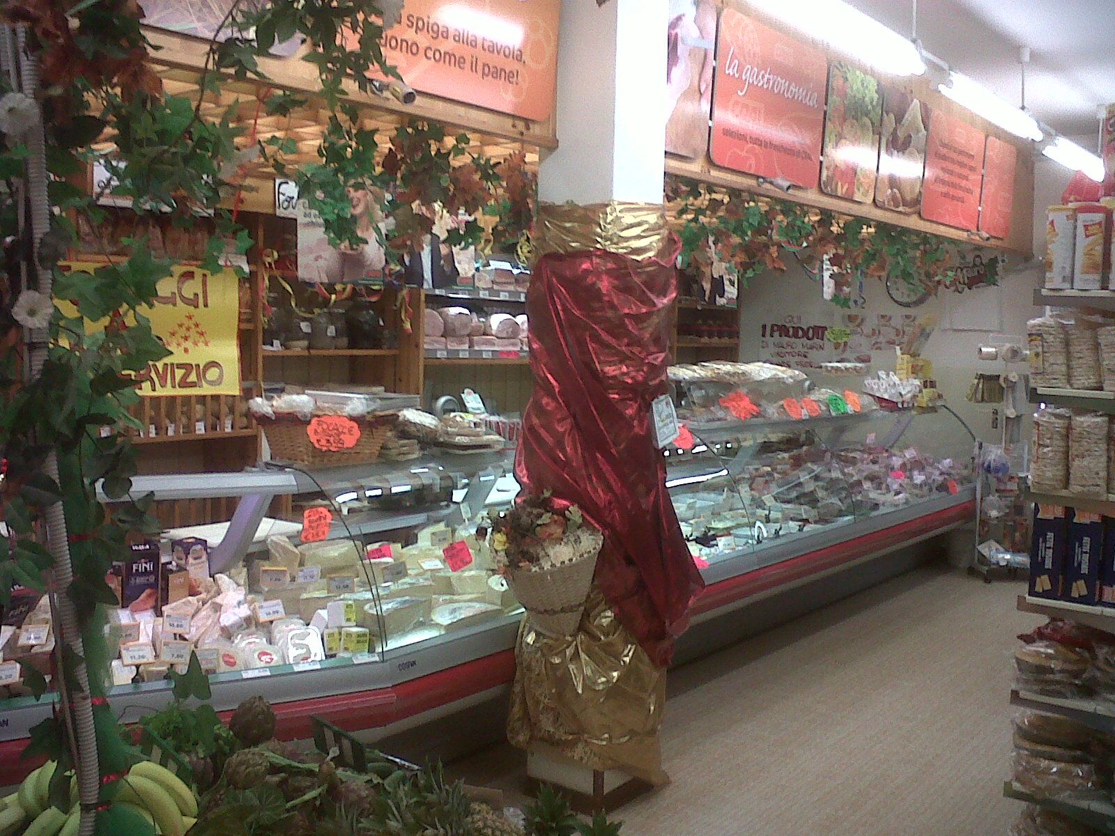 Immagine interno negozio