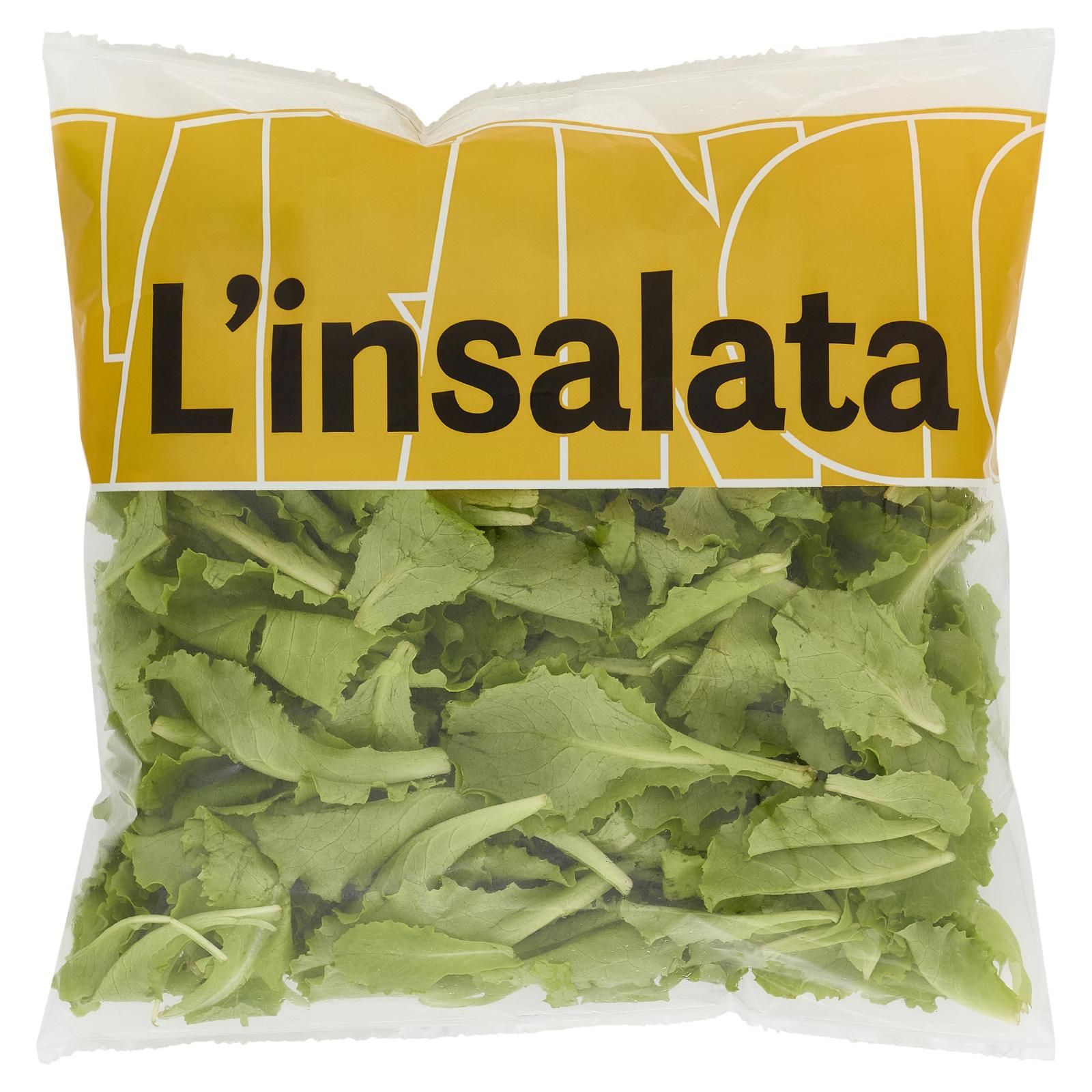Larancio l'insalata Lattughino 80 g