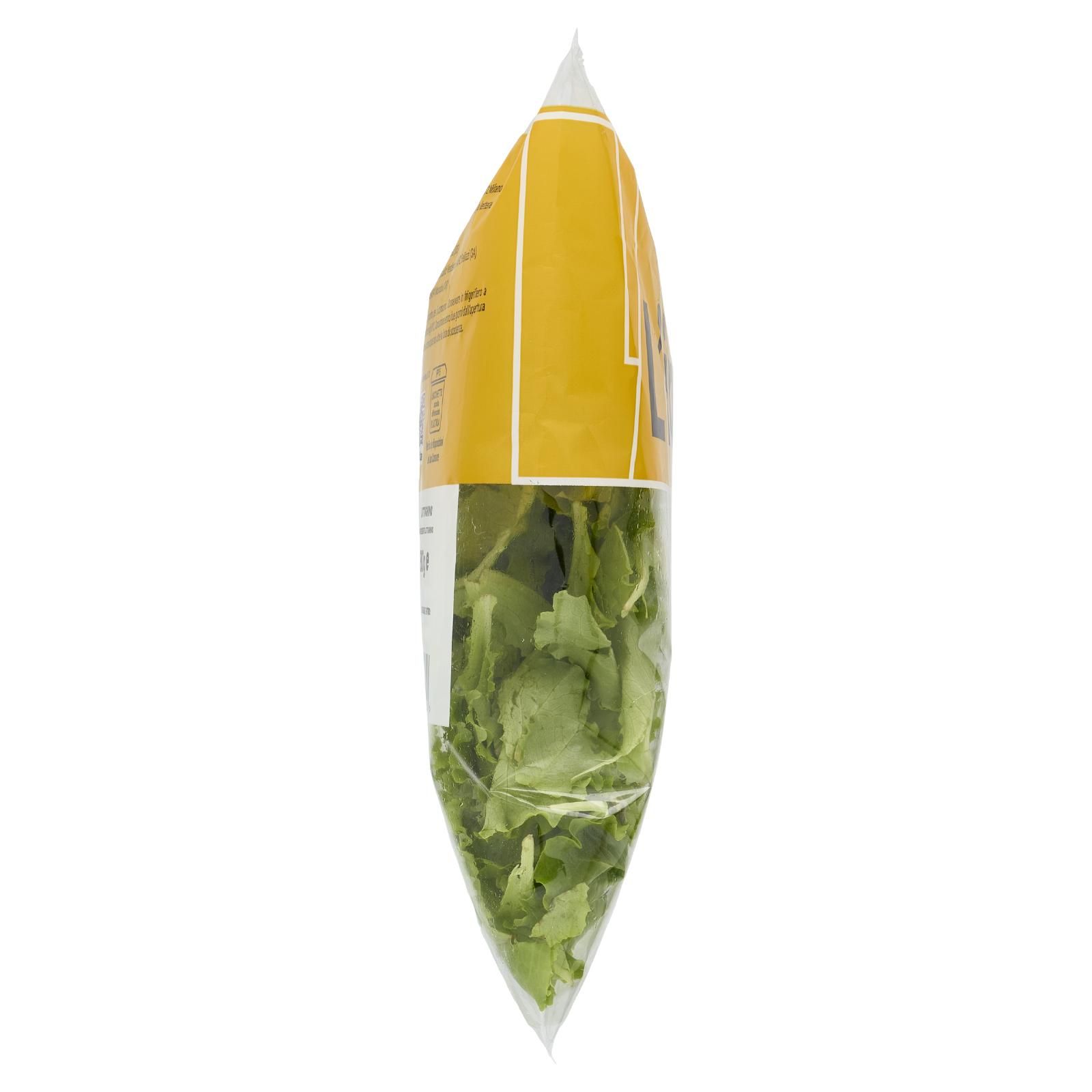 Larancio l'insalata Lattughino 80 g