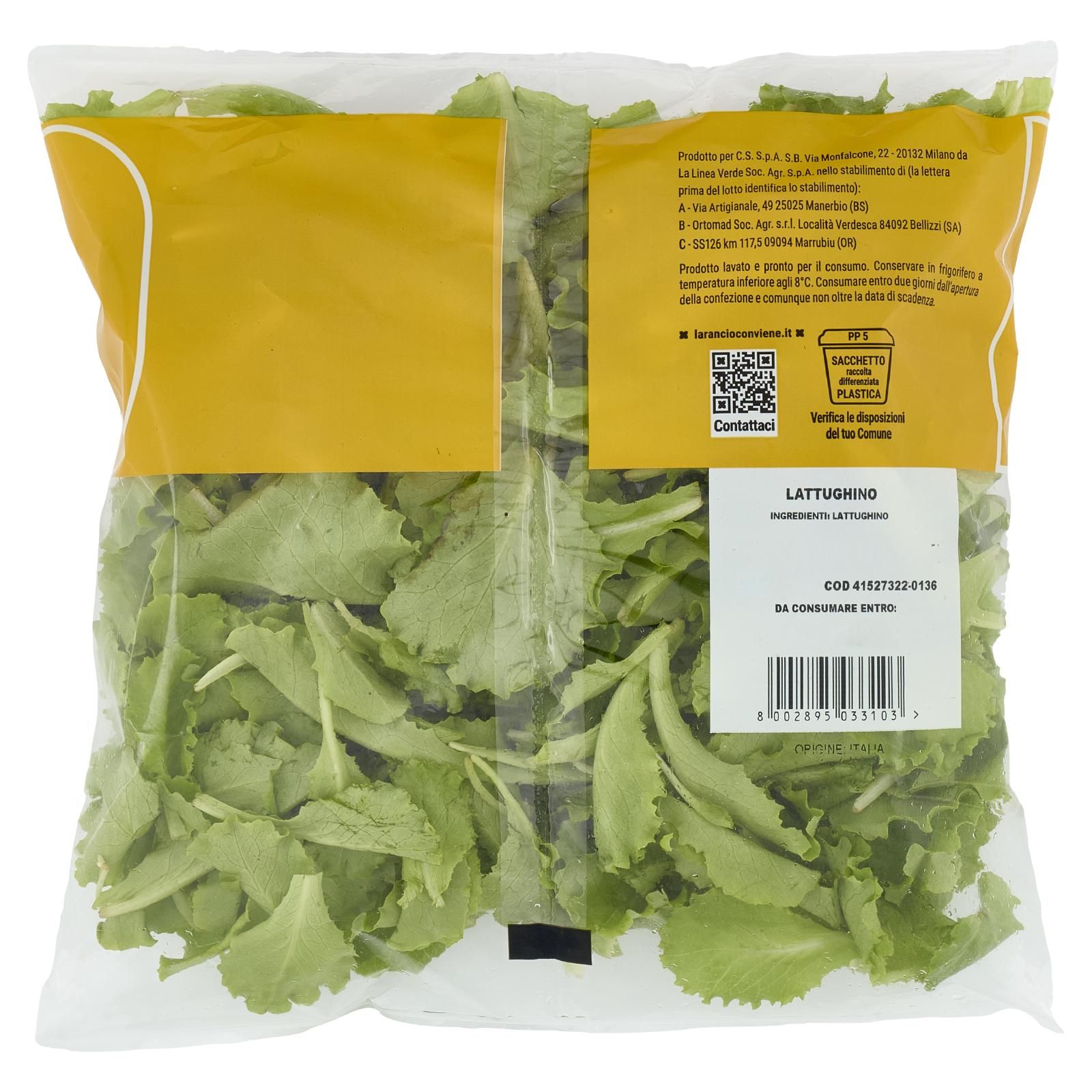 Larancio l'insalata Lattughino 80 g