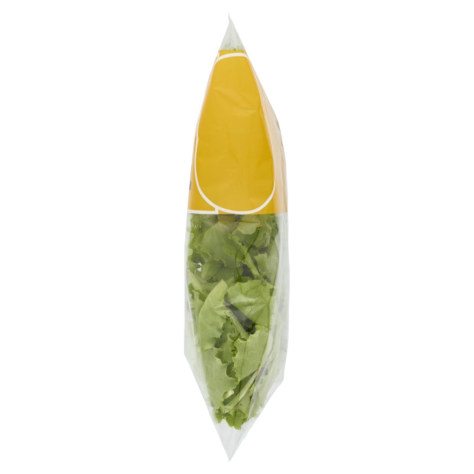Larancio l'insalata Lattughino 80 g