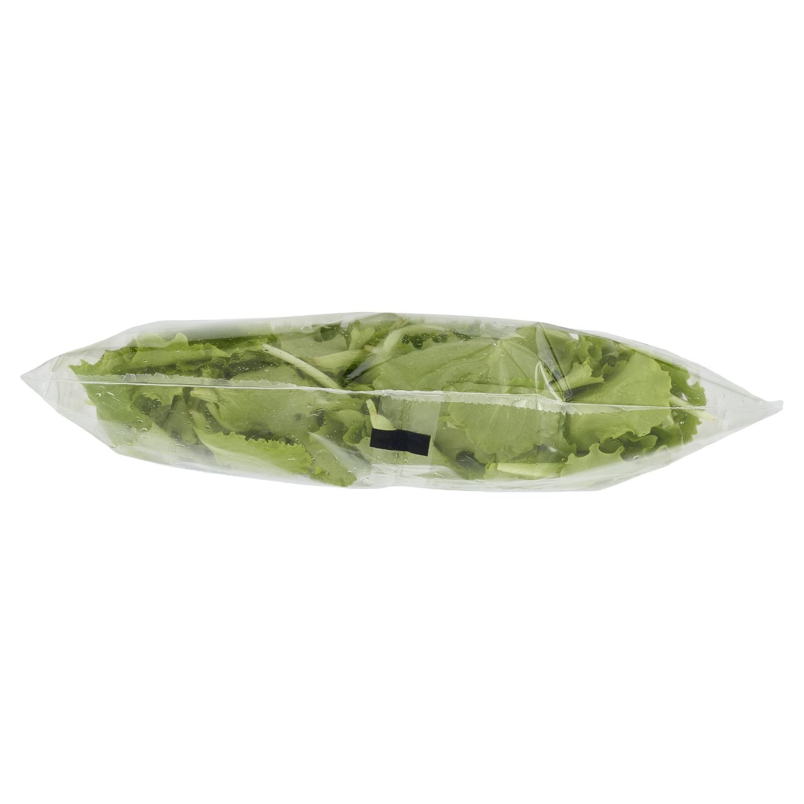 Larancio l'insalata Lattughino 80 g