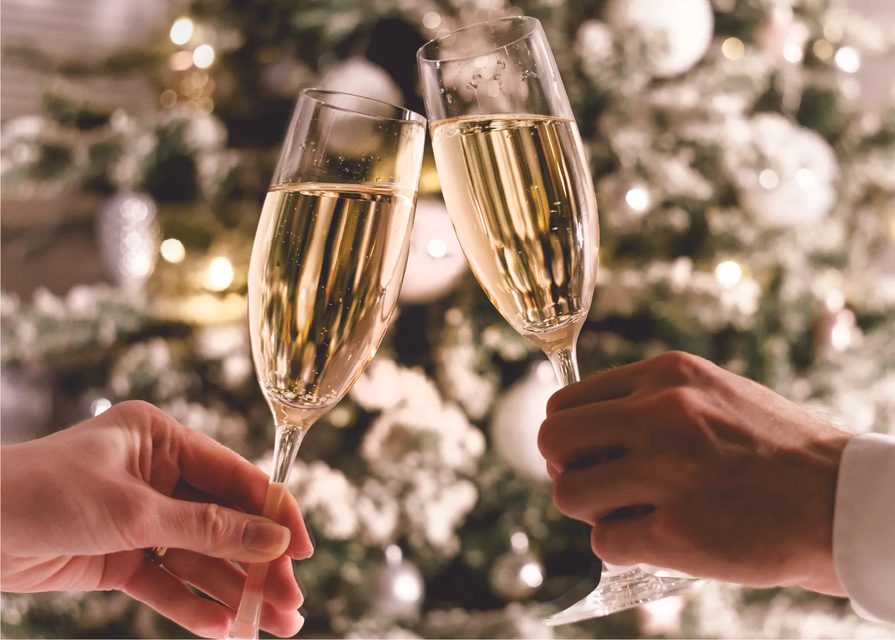 OGNI CALICE UN BRINDISI DA RICORDARE