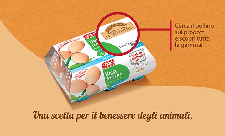 Immagine articolo